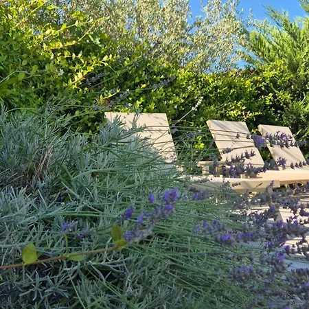 Luxury Exclusive By Guide *