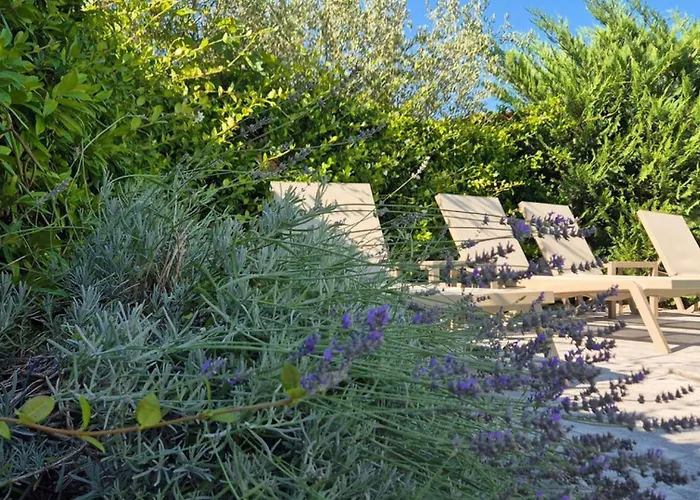 Luxury Exclusive By Guide *